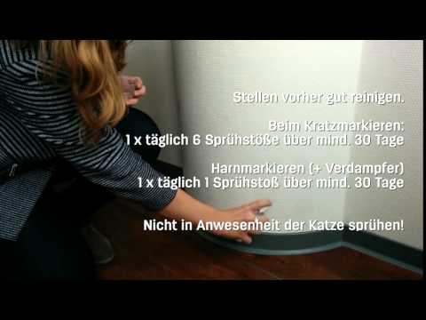 Feliway Wohlbefinden Classic Spray Transport, 20 ml - Video 1