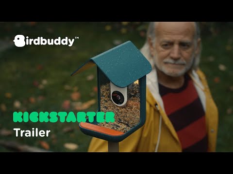 Birdbuddy Futterspender PRO Solar mit AI-Vogelerkennung - Video 1