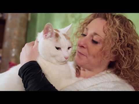 Feliway Wohlbefinden Classic Spray Transport, 20 ml - Video 2
