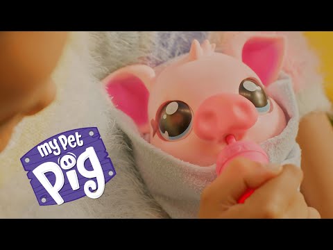 moose Spielzeugfigur Little Live Pets Schwein - Video 1