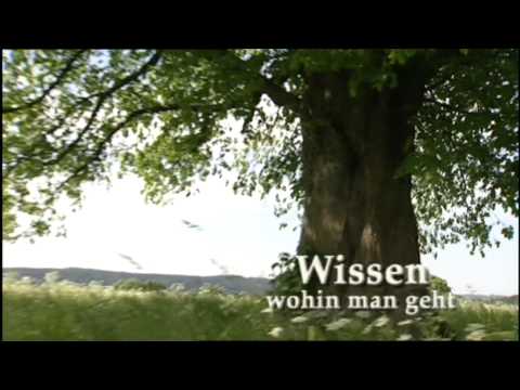 Faber-Castell Farbstifte Farbst Polychromos 48-teilig - Video 1
