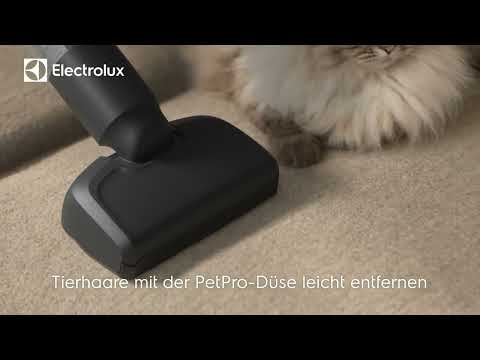 Electrolux Akku-Hand- und Stielsauger Hygienic WET 600 EP61H21WET - Video 1