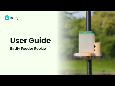 Birdfy Vogelhaus mit Kamera 60 fps 1080p - Video 1