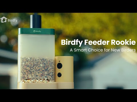 Birdfy Vogelhaus mit Kamera 60 fps 1080p - Video 2